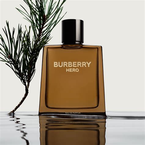 burberry perfume male|burberry fragrances for men.